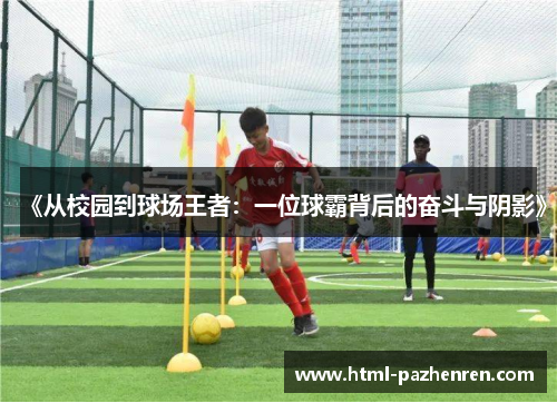 《从校园到球场王者:一位球霸背后的奋斗与阴影》 《从校园到球场王者:一位球霸背后的奋斗与阴影》