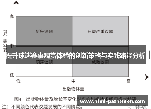 提升球迷赛事观赏体验的创新策略与实践路径分析 提升球迷赛事观赏体验的创新策略与实践路径分析