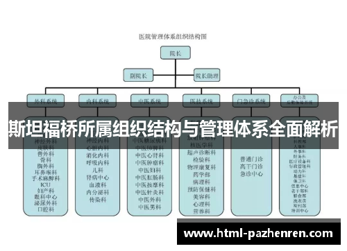 斯坦福桥所属组织结构与管理体系全面解析 斯坦福桥所属组织结构与管理体系全面解析