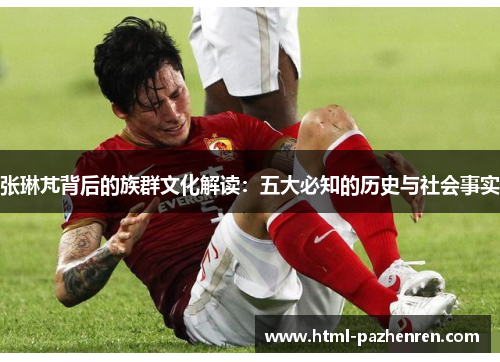 张琳芃背后的族群文化解读:五大必知的历史与社会事实 张琳芃背后的族群文化解读:五大必知的历史与社会事实