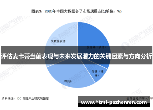 评估麦卡蒂当前表现与未来发展潜力的关键因素与方向分析
