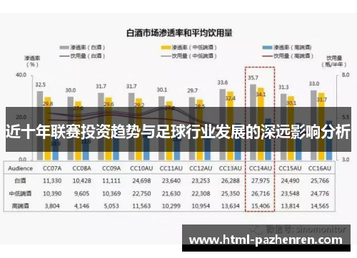 近十年联赛投资趋势与足球行业发展的深远影响分析